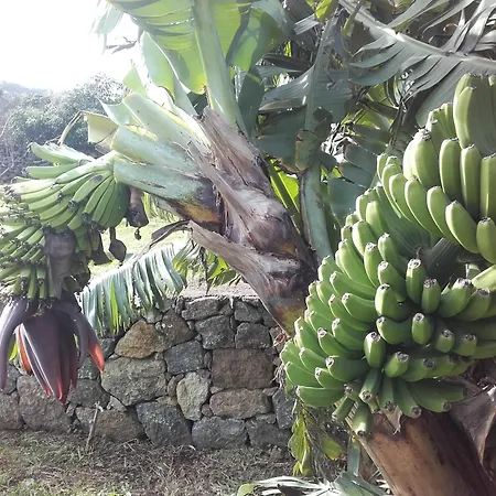 De Baixo Da Ponte * Biscoitos (Terceira)