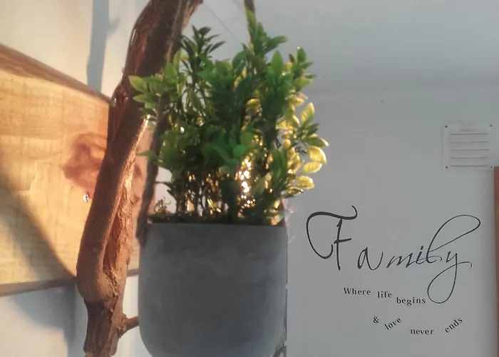 De Baixo Da Ponte Biscoitos (Terceira)