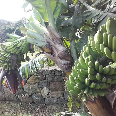 桥下度假屋 Biscoitos (Terceira)