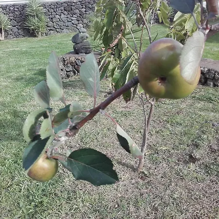 度假居 桥下度假屋 Biscoitos (Terceira)