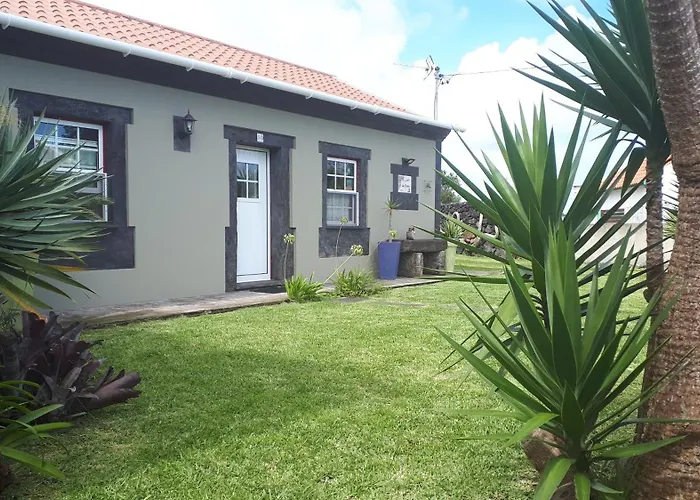 度假居 桥下度假屋 *